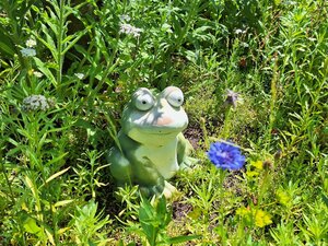 Bild vergr&ouml;&szlig;ern: Froschfigur im Garten