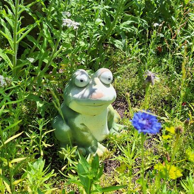 Bild vergr&ouml;&szlig;ern: 2025_06_16 Steinweg-Schule bl&uuml;ht Blumen Bl&uuml;ten