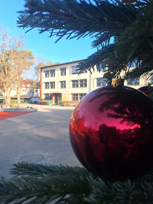 Bild vergr&ouml;&szlig;ern: 2025_12 Steinweg-Schule Weihnachtsbaum