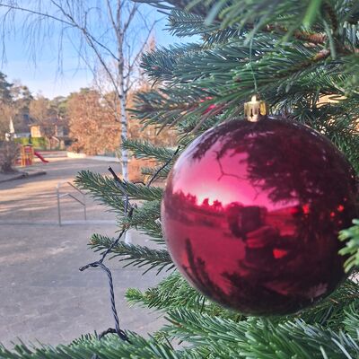 Bild vergr&ouml;&szlig;ern: 2025_12 Steinweg-Schule Weihnachtsbaum