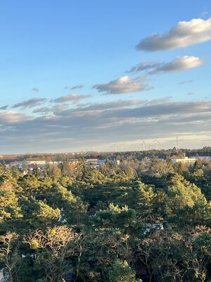 Bild vergr&ouml;&szlig;ern: 2022_03_07 Steinweg-Schule-von-oben-Luftbilder