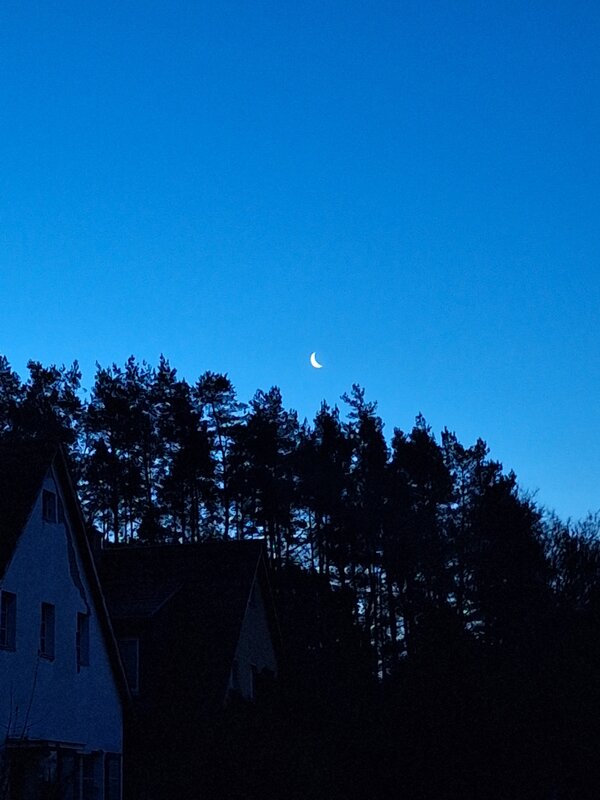 Bild vergr&ouml;&szlig;ern: 2025_12_16 Steinweg-Schule Mondschein