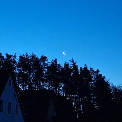 2025_12_16 Steinweg-Schule Mondschein