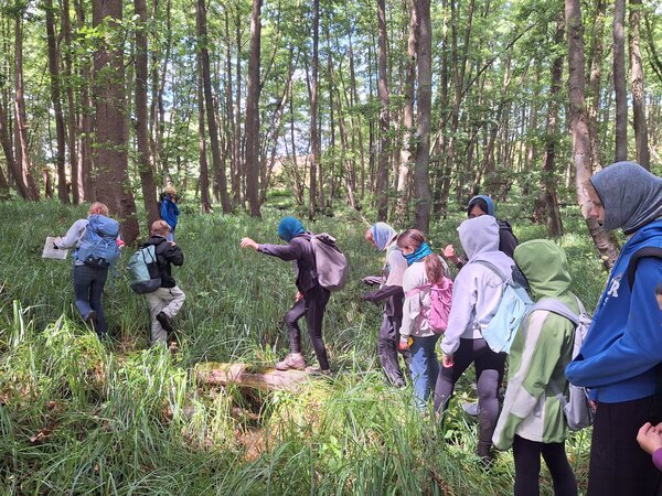 Bild vergr&ouml;&szlig;ern: Kinder erkunden den Wald