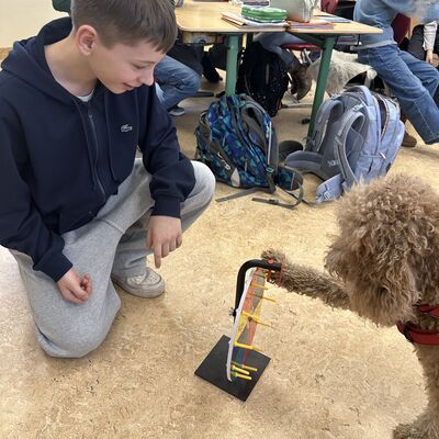 Bild vergr&ouml;&szlig;ern: Ein Kind l&auml;sst Luna ein kleines Gl&uuml;cksrad drehen