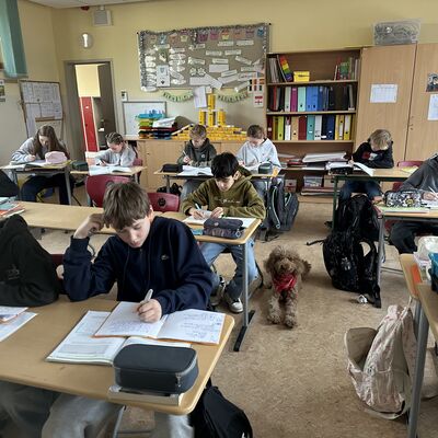 Bild vergr&ouml;&szlig;ern: Luna im Klassenzimmer, w&auml;hrend die Kinder lernen