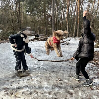 Bild vergr&ouml;&szlig;ern: Kinder lassen Luna &uuml;ber einen Stock springen
