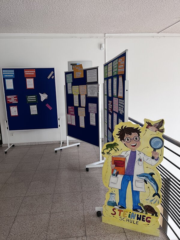 Bild vergr&ouml;&szlig;ern: 2026_04_16 Steinweg-Schule Ausstellung Nawi im Rathaus
