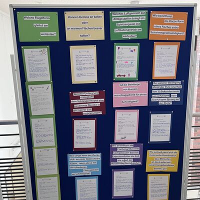 Bild vergr&ouml;&szlig;ern: 2026_04_16 Steinweg-Schule Ausstellung Nawi im Rathaus