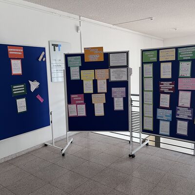 Bild vergr&ouml;&szlig;ern: 2026_04_16 Steinweg-Schule Ausstellung Nawi im Rathaus