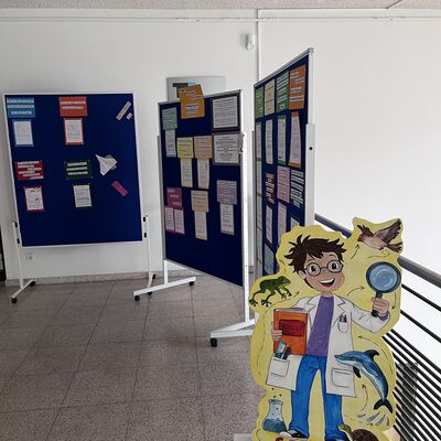 Bild vergr&ouml;&szlig;ern: 2026_04_16 Steinweg-Schule Ausstellung Nawi im Rathaus