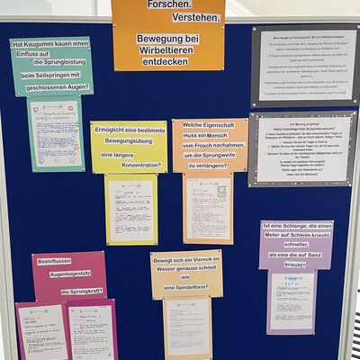 Bild vergr&ouml;&szlig;ern: 2026_04_16 Steinweg-Schule Ausstellung Nawi im Rathaus