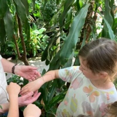Bild vergr&ouml;&szlig;ern: 2026 Steinweg-Schule Klasse 2a Biosph&auml;re