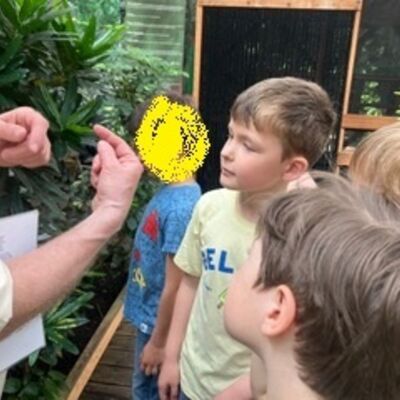 Bild vergr&ouml;&szlig;ern: 2026 Steinweg-Schule Klasse 2a Biosph&auml;re