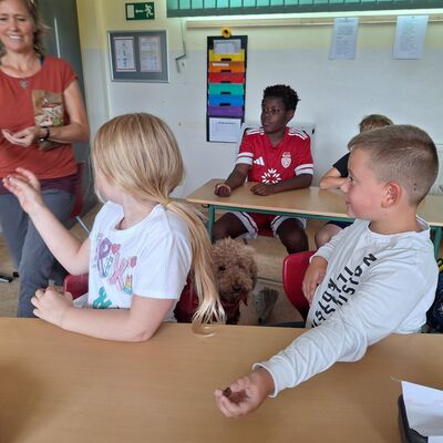 Bild vergr&ouml;&szlig;ern: 2026_09_04 Steinweg-Schule Klasse 4a Luna