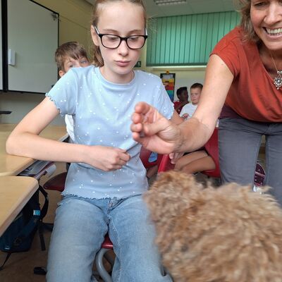 Bild vergr&ouml;&szlig;ern: 2026_09_04 Steinweg-Schule Klasse 4a Luna
