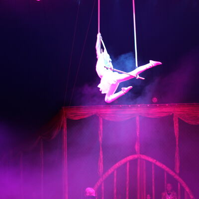 Bild vergr&ouml;&szlig;ern: 2024_Steinweg-Schule-Projekt-Zirkus-Mondeo