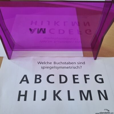 Bild vergr&ouml;&szlig;ern: 2025_03_20 Steinweg-Schule Matheprojekttag