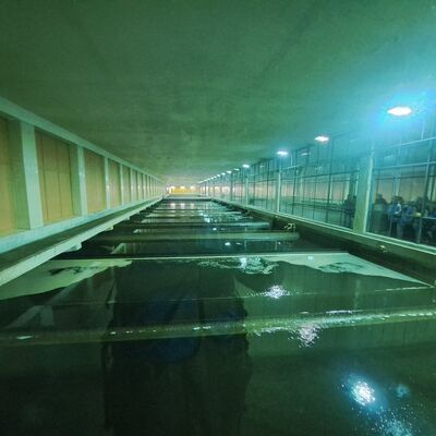 Bild vergr&ouml;&szlig;ern: 2025_01_08 Steinweg-Schule Klasse 4b  Wasserwerk Beelitzhof